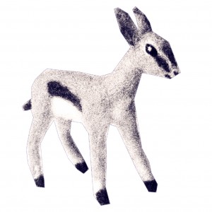 gazelle baby